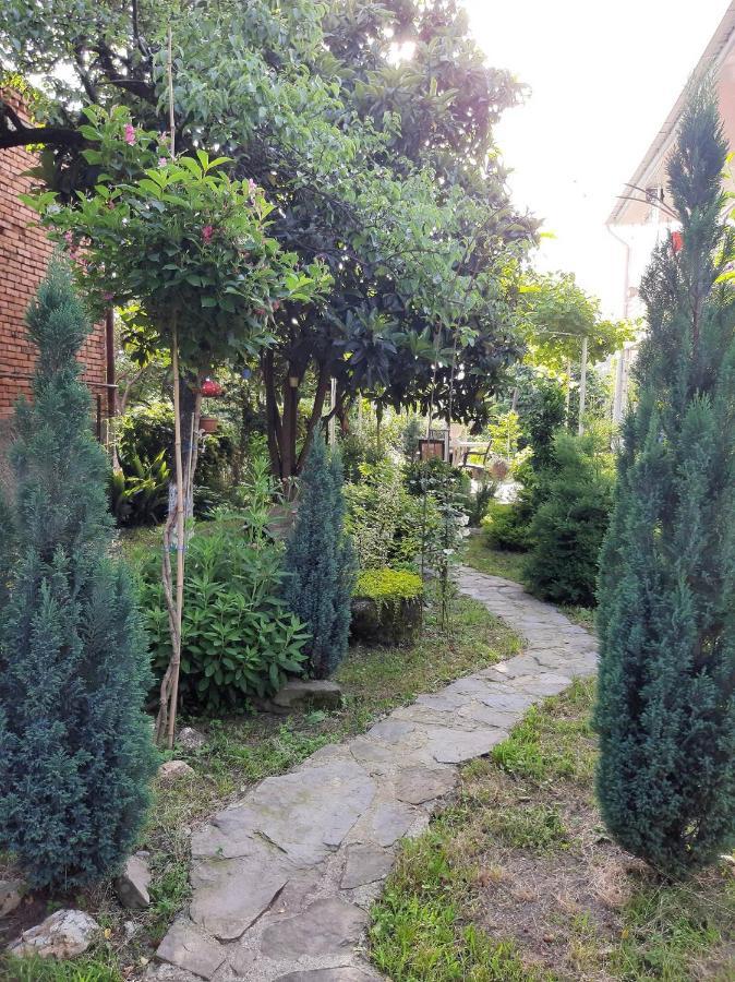 Hotel Kote.Ge Lagodechi Exterior foto