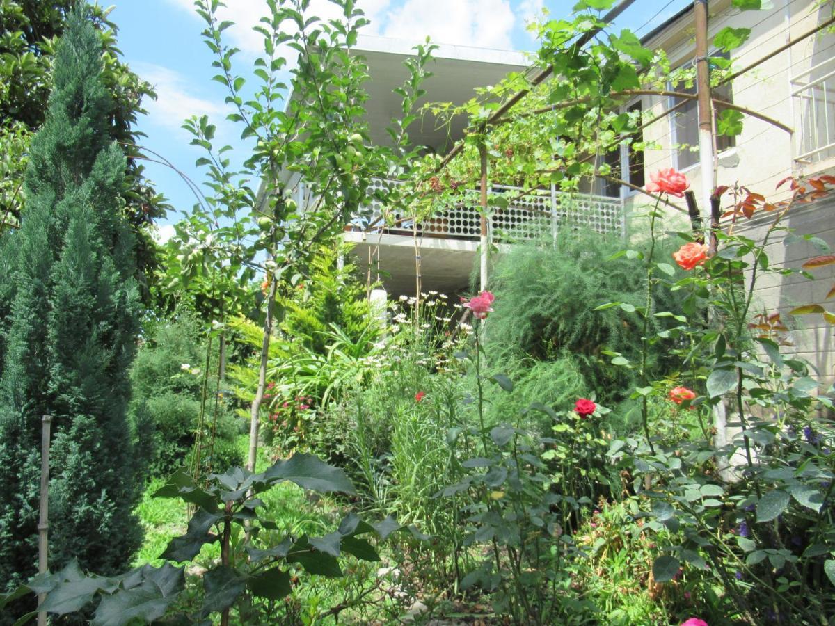 Hotel Kote.Ge Lagodechi Exterior foto